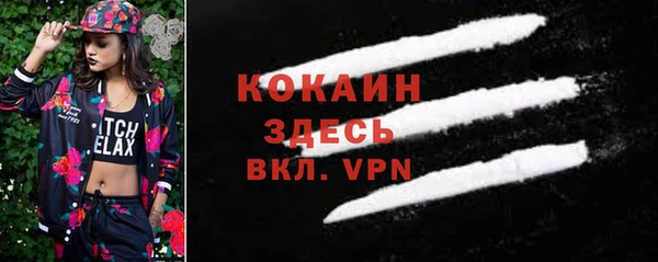 дживик Данков