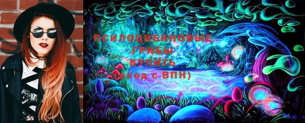 хмурый Алексеевка